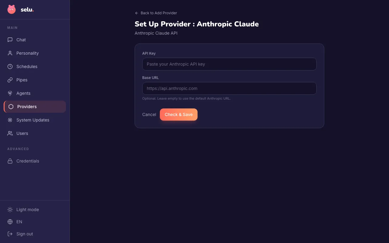 The Anthropic Claude provider setup page with fields for API Key and Base URL.