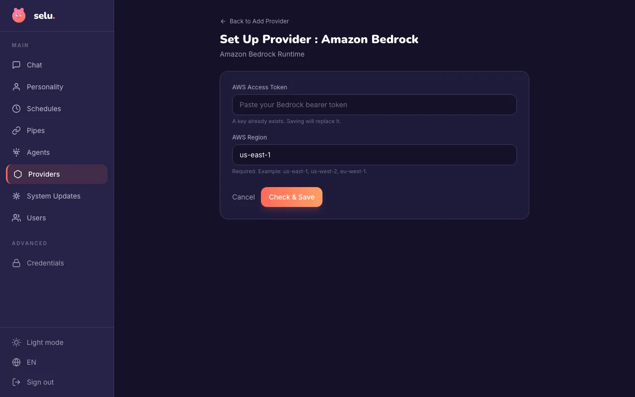 The Amazon Bedrock provider setup page with fields for AWS Access Token and AWS Region.