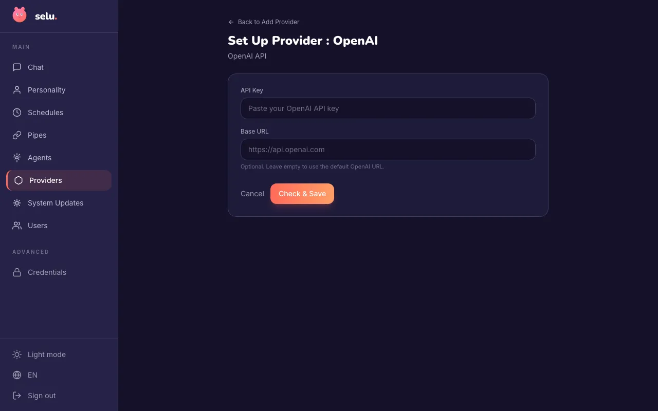 The OpenAI provider setup page with fields for API Key and Base URL.