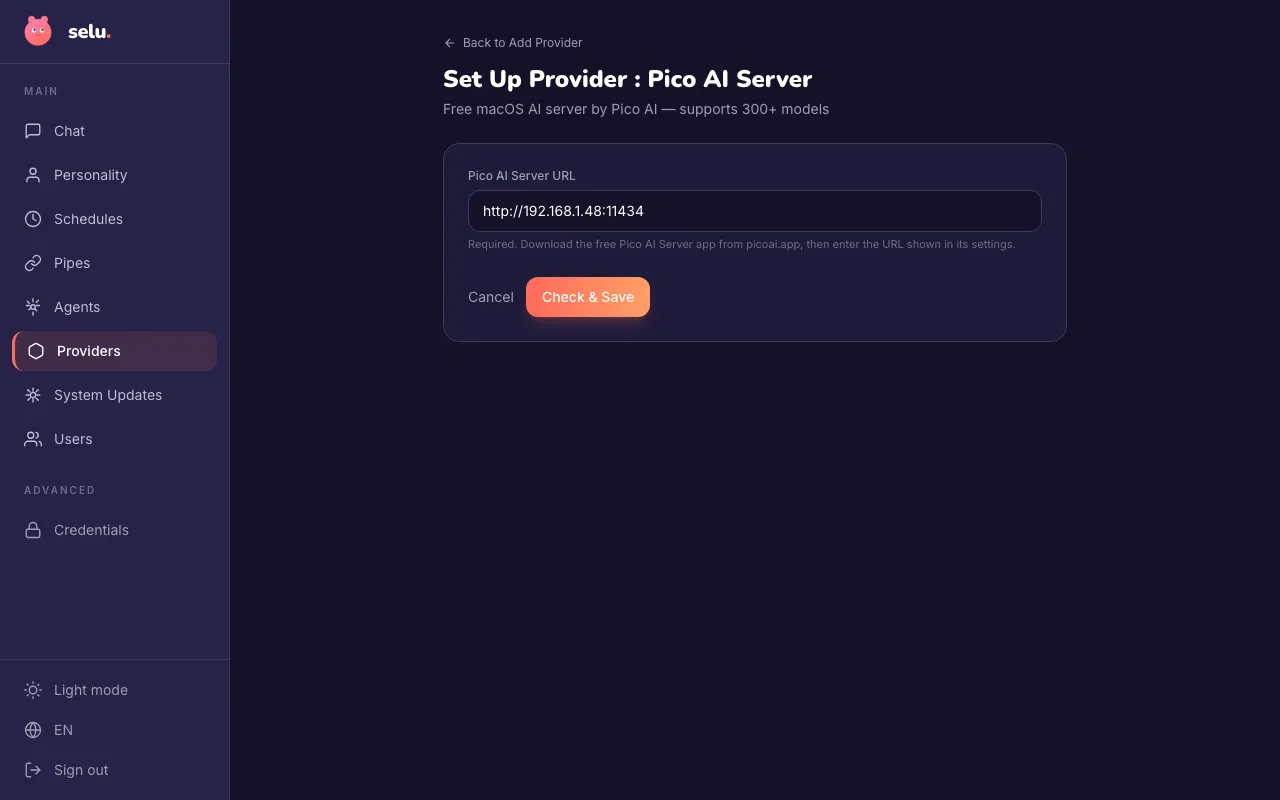 The Pico AI Server provider setup page with the server URL field.