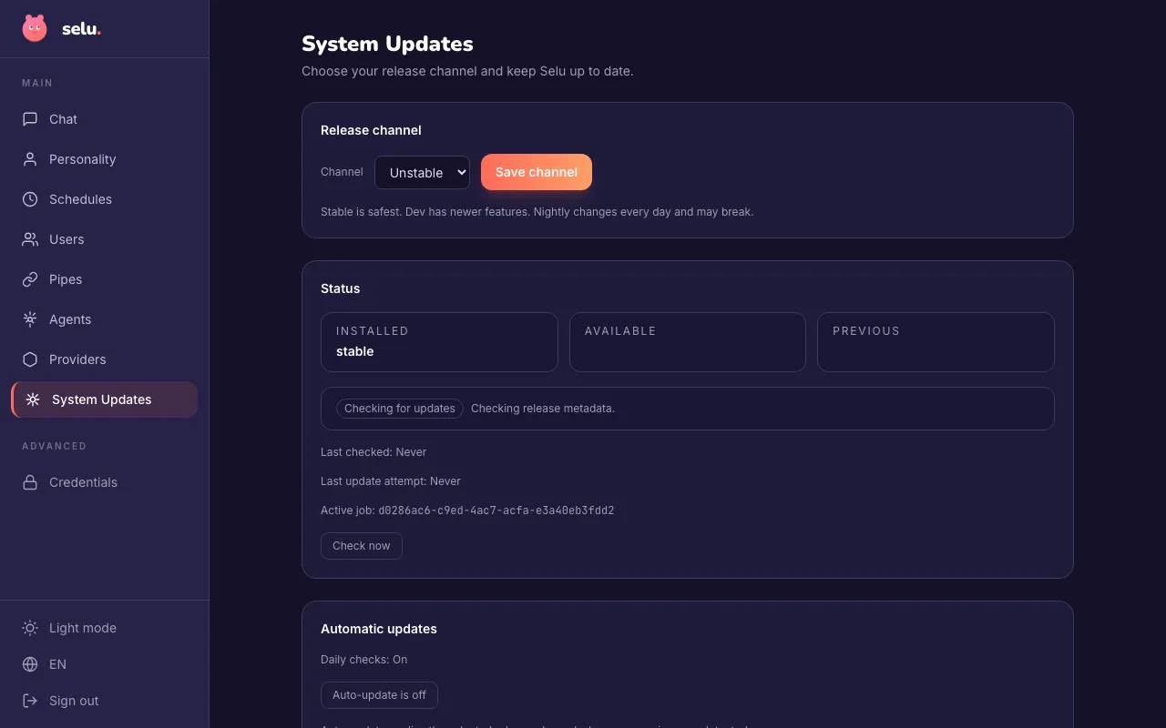 The System Updates page showing version information, update controls, and public origin settings.
